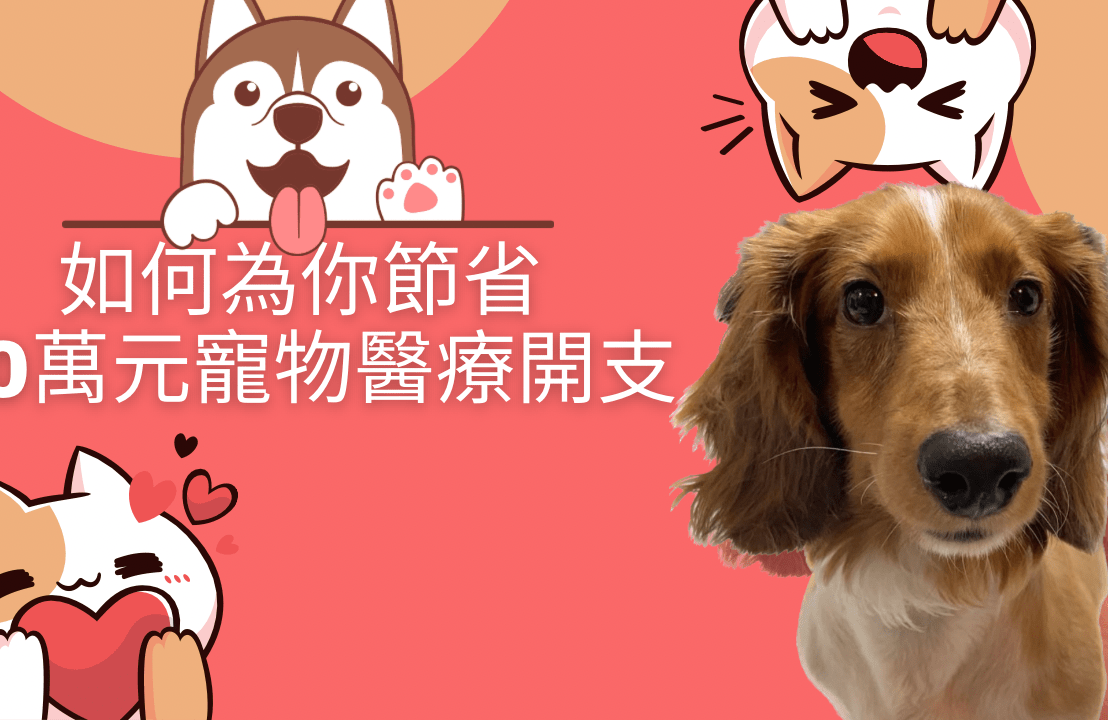 如何節省十萬元寵物醫療開支？